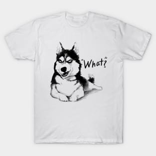 What? Dog T-Shirt